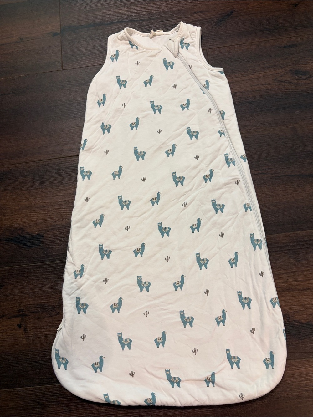 Kyte Baby Sleep Bag in the Alpaca